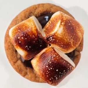 S'mores Sensation Cookie